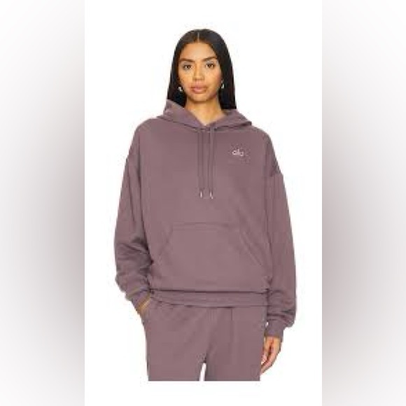 ALO Yoga Other - ALO Yoga Raisenette Sweatshirt Hoodie